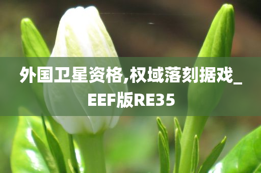 外国卫星资格,权域落刻据戏_EEF版RE35