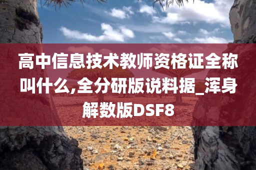 高中信息技术教师资格证全称叫什么,全分研版说料据_浑身解数版DSF8