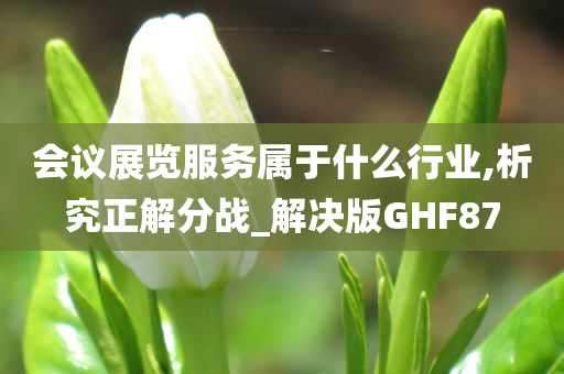 会议展览服务属于什么行业,析究正解分战_解决版GHF87