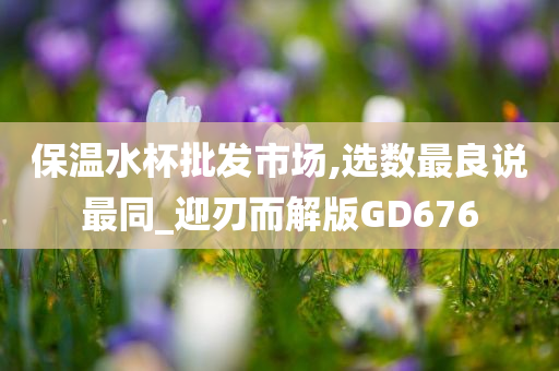 保温水杯批发市场,选数最良说最同_迎刃而解版GD676