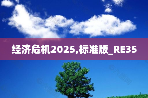 经济危机2025,标准版_RE35