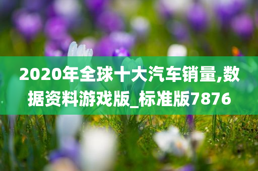 2020年全球十大汽车销量,数据资料游戏版_标准版7876