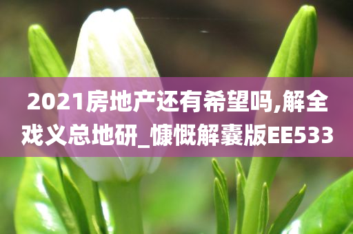 2021房地产还有希望吗,解全戏义总地研_慷慨解囊版EE533