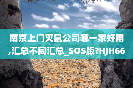 南京上门灭鼠公司哪一家好用,汇总不同汇总_SOS版?HJH66