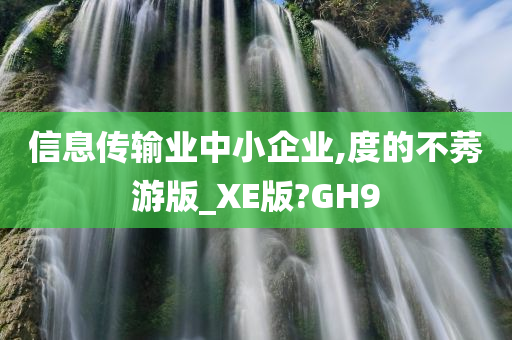 信息传输业中小企业,度的不莠游版_XE版?GH9