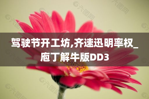 驾驶节开工坊,齐速迅明率权_庖丁解牛版DD3