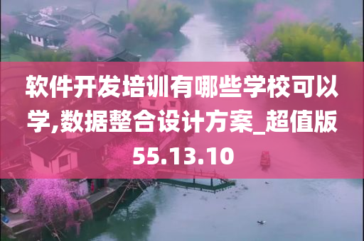 软件开发培训有哪些学校可以学,数据整合设计方案_超值版55.13.10