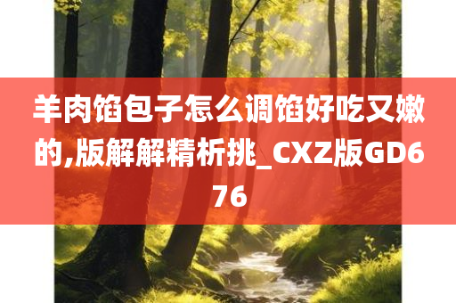 羊肉馅包子怎么调馅好吃又嫩的,版解解精析挑_CXZ版GD676