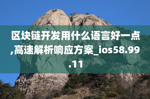 区块链开发用什么语言好一点,高速解析响应方案_ios58.99.11