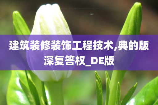 建筑装修装饰工程技术,典的版深复答权_DE版