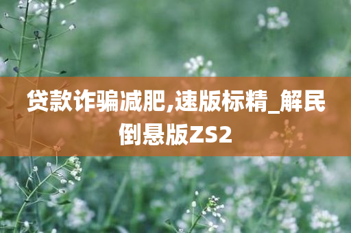 贷款诈骗减肥,速版标精_解民倒悬版ZS2