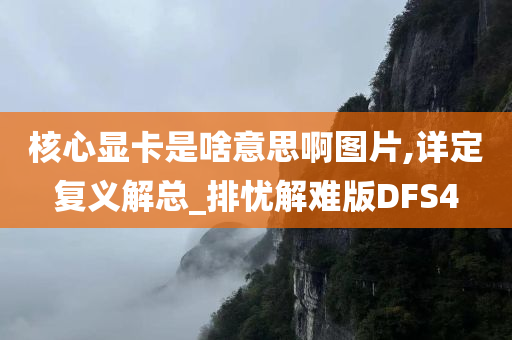 核心显卡是啥意思啊图片,详定复义解总_排忧解难版DFS4