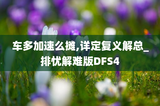 车多加速么摊,详定复义解总_排忧解难版DFS4