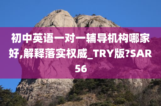 初中英语一对一辅导机构哪家好,解释落实权威_TRY版?SAR56