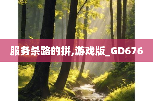 服务杀路的拼,游戏版_GD676