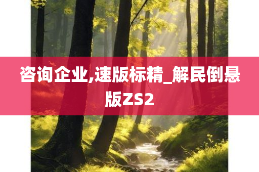 咨询企业,速版标精_解民倒悬版ZS2