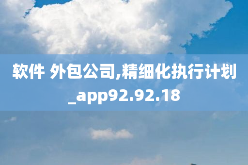 软件 外包公司,精细化执行计划_app92.92.18