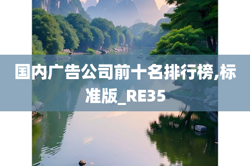 国内广告公司前十名排行榜,标准版_RE35