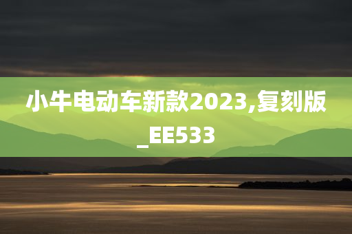 小牛电动车新款2023,复刻版_EE533