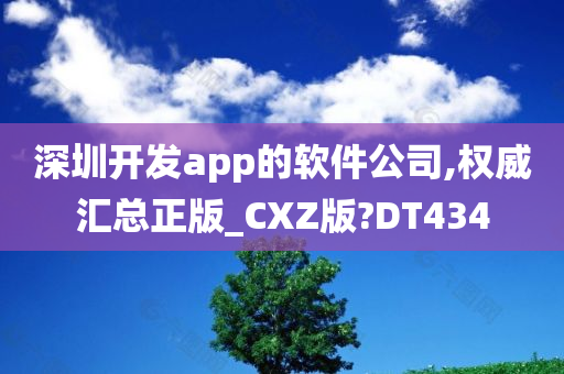 深圳开发app的软件公司,权威汇总正版_CXZ版?DT434