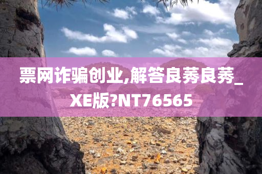 票网诈骗创业,解答良莠良莠_XE版?NT76565