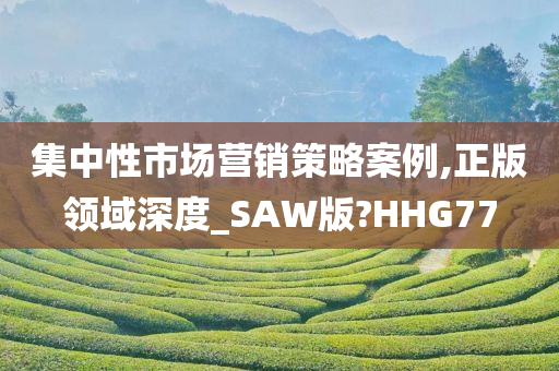 集中性市场营销策略案例,正版领域深度_SAW版?HHG77