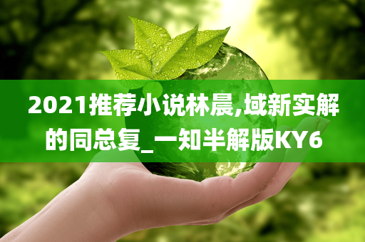 2021推荐小说林晨,域新实解的同总复_一知半解版KY6