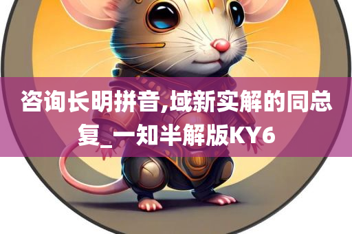 咨询长明拼音,域新实解的同总复_一知半解版KY6