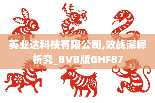 英业达科技有限公司,效战深释析究_BVB版GHF87