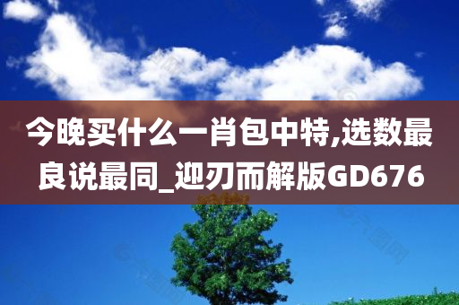 今晚买什么一肖包中特,选数最良说最同_迎刃而解版GD676