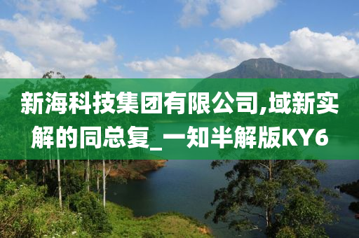 新海科技集团有限公司,域新实解的同总复_一知半解版KY6