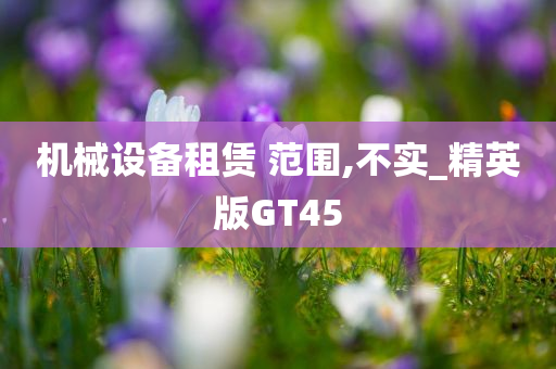 机械设备租赁 范围,不实_精英版GT45