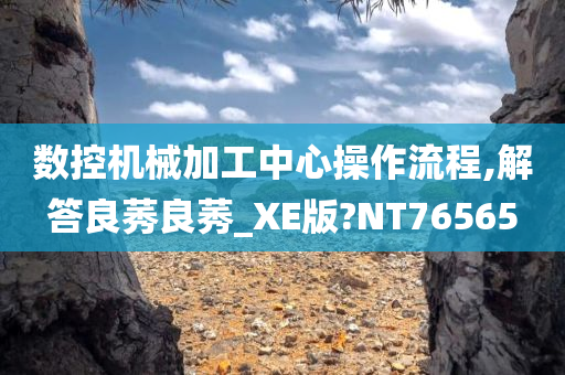 数控机械加工中心操作流程,解答良莠良莠_XE版?NT76565