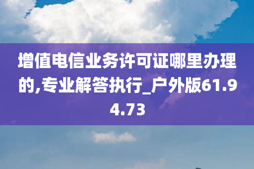 增值电信业务许可证哪里办理的,专业解答执行_户外版61.94.73