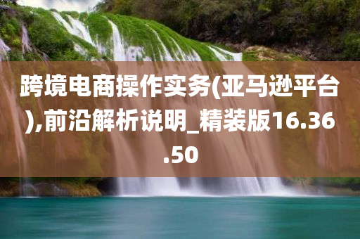 跨境电商操作实务(亚马逊平台),前沿解析说明_精装版16.36.50