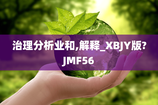 治理分析业和,解释_XBJY版?JMF56