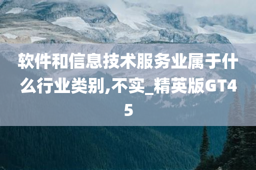 软件和信息技术服务业属于什么行业类别,不实_精英版GT45