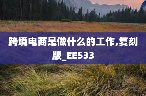 跨境电商是做什么的工作,复刻版_EE533