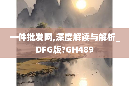 一件批发网,深度解读与解析_DFG版?GH489