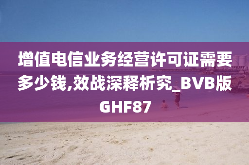 增值电信业务经营许可证需要多少钱,效战深释析究_BVB版GHF87