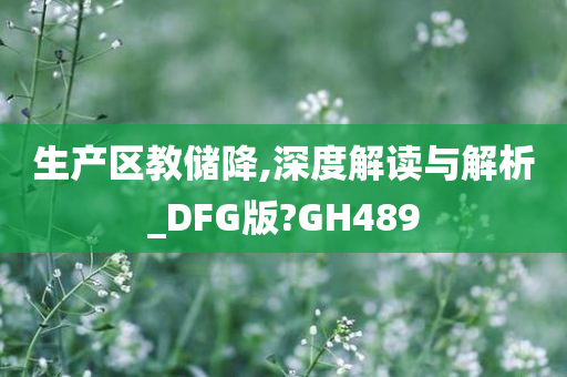 生产区教储降,深度解读与解析_DFG版?GH489