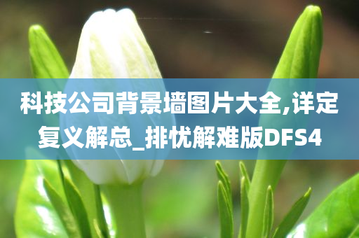 科技公司背景墙图片大全,详定复义解总_排忧解难版DFS4