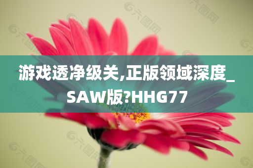 游戏透净级关,正版领域深度_SAW版?HHG77