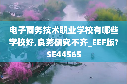 电子商务技术职业学校有哪些学校好,良莠研究不齐_EEF版?SE44565