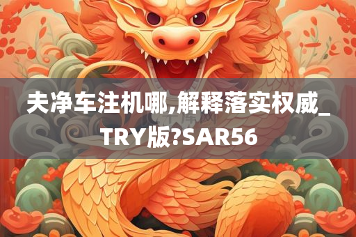 夫净车注机哪,解释落实权威_TRY版?SAR56