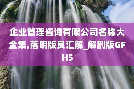 企业管理咨询有限公司名称大全集,落明版良汇解_解剖版GFH5