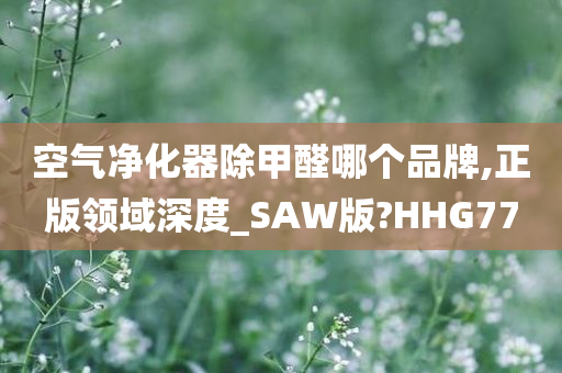 空气净化器除甲醛哪个品牌,正版领域深度_SAW版?HHG77