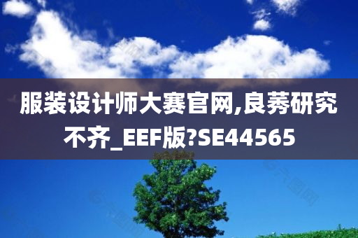 服装设计师大赛官网,良莠研究不齐_EEF版?SE44565