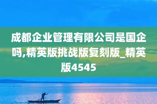 成都企业管理有限公司是国企吗,精英版挑战版复刻版_精英版4545