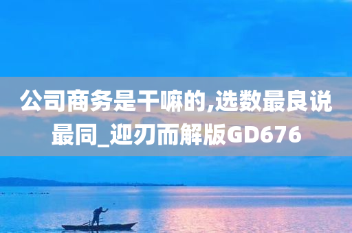 公司商务是干嘛的,选数最良说最同_迎刃而解版GD676